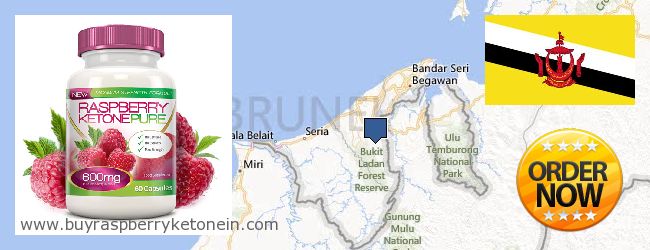 Où Acheter Raspberry Ketone en ligne Brunei